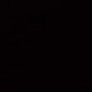 Meet your Posher, Curtiss